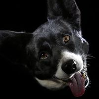 Emmanuelle Taurin的照片