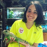 Fotos de Anna Palacios Cabrera