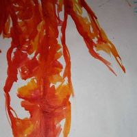 rita Nobrega's Photo