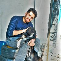 kamran ahmadi的照片