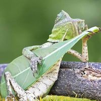 Caio Augusto Rodrigues的照片