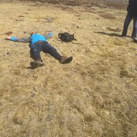 Josh Wilson的照片