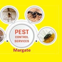 Fotos von Pest Control  Margate