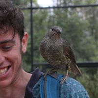 Lyall Horton's Photo