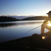 Adrian Voicu的照片