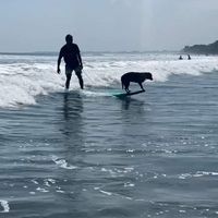 Gerson Pabala的照片