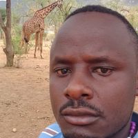 Marco Kweka的照片