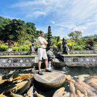 Morteza Ahmadi's Photo