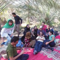 latif salemi的照片