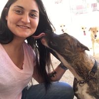 Naira Jendoubi's Photo