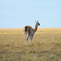 Fotos de Fede Marín