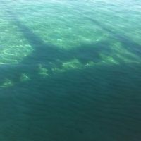 Gilles Baissas的照片