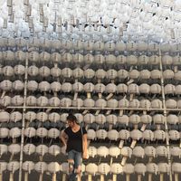 Mackenzie Wiglesworth's Photo