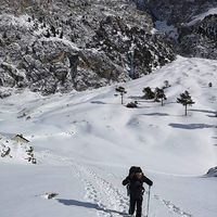 Duaner Ellag's Photo