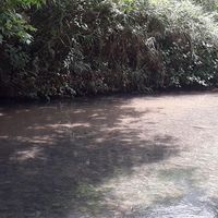 maayan yaakobi's Photo