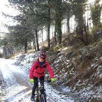 Seila Hewson的照片