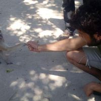 Jairo Cruz Sanchez's Photo