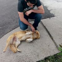 Emre Ozdemir's Photo