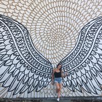 Amanda Kaminski的照片