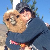 Fotos de Lindsay Galpin