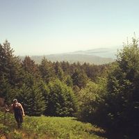 Linnéa  Hultén的照片