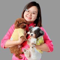 Anh+Thư Nguyễn的照片