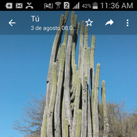 meli y nico Lozano Rodríguez's Photo