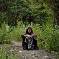 Stepania  Correa的照片