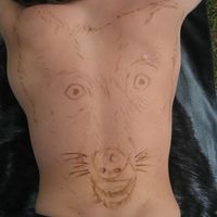 Photos de Antoine Halsberghe