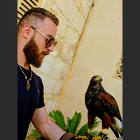 Fotos de Noor Samman