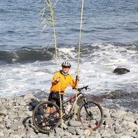 Фотографии пользователя Andreas Hugo