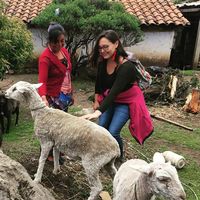 Melisa Castellanos Jonfe's Photo