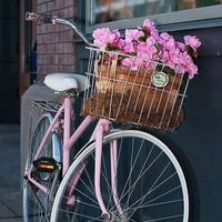 Tran Minh Ngoc's Photo