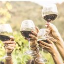 Wine Tour 's picture