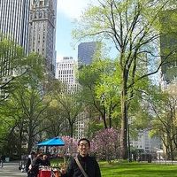 yasuharuyamamoto的照片