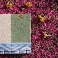 Photos de Lireiza Rivera