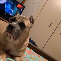 Clif Calvin的照片