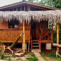 Alice Petrini's Photo