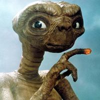 Burcu Sengul的照片