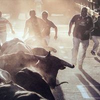 Gareth Cooper的照片