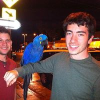 Matt OBrien的照片