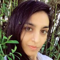 Fatemeh Ghafari的照片