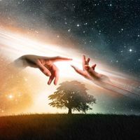 Rohit Dandia的照片