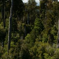 quinn anderson's Photo