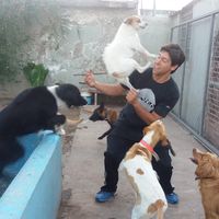 Le foto di German Quiroga