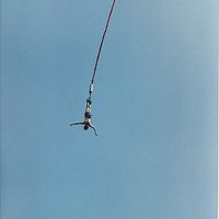 SEE-THE-WORLD的照片