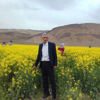 Rahmatollah Alizadeh's Photo