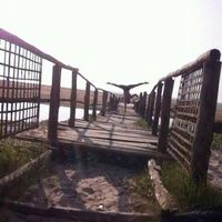 Bert Vanden Berghe's Photo