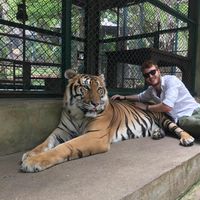 Lorenzo Villa的照片