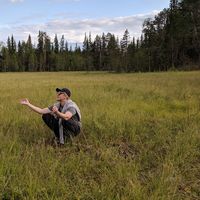 Nick Meinhardt的照片